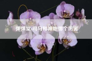 弹弹堂s司马和神炮哪个厉害