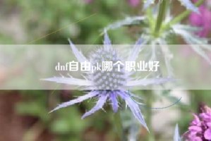 dnf自由pk哪个职业好