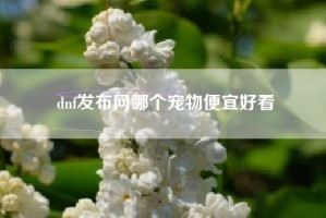 dnf发布网哪个宠物便宜好看