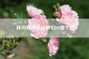林川和帅宇玩梦幻SF哪个好