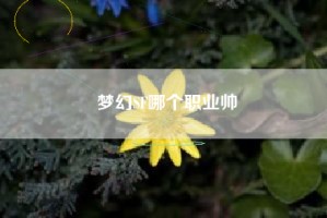 梦幻SF哪个职业帅