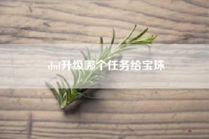 dnf升级哪个任务给宝珠