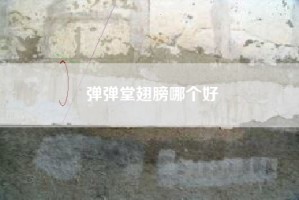 弹弹堂翅膀哪个好