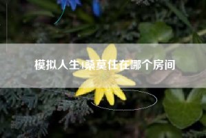 模拟人生4桑莫住在哪个房间