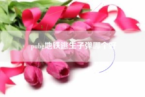 pubg地铁逃生子弹哪个好