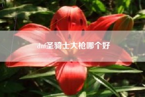 dnf圣骑士大枪哪个好