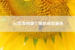 dnf发布网哪个角色成型最快