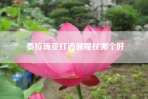 泰拉瑞亚打酒保魔杖哪个好