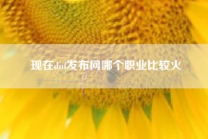 现在dnf发布网哪个职业比较火