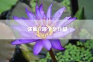 诛仙SF哪个是升级