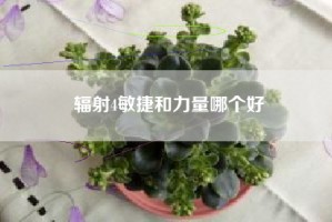 辐射4敏捷和力量哪个好