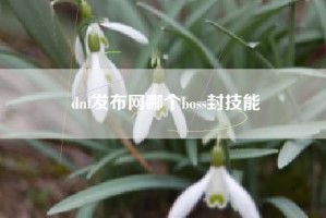 dnf发布网哪个boss封技能