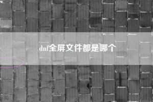 dnf全屏文件都是哪个