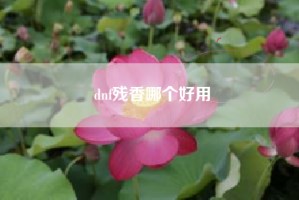 dnf残香哪个好用