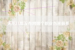 天龙八部发布网哪个职业伤害最多