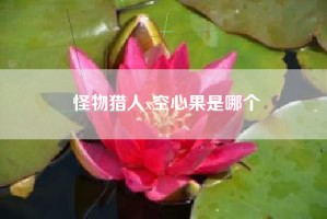 怪物猎人x空心果是哪个