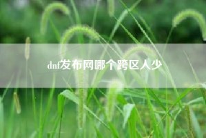 dnf发布网哪个跨区人少