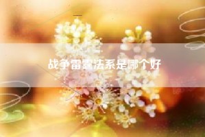 战争雷霆法系是哪个好