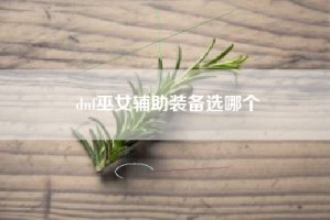 dnf巫女辅助装备选哪个