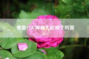 拳皇97火神和大蛇哪个厉害