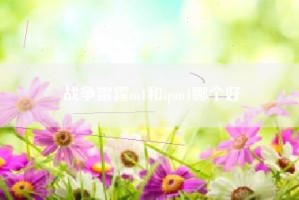 战争雷霆m1和ipm1哪个好