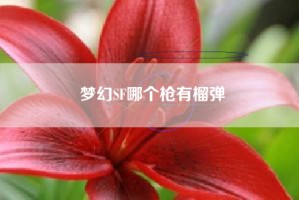 梦幻SF哪个枪有榴弹