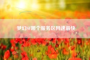 梦幻SF哪个服务区网速最快