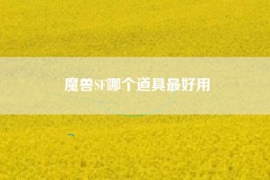 魔兽SF哪个道具最好用
