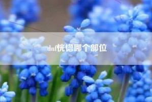 dnf恍惚哪个部位