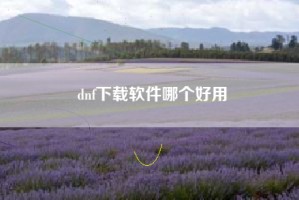 dnf下载软件哪个好用