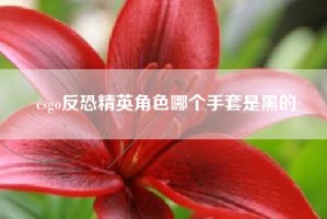 csgo反恐精英角色哪个手套是黑的