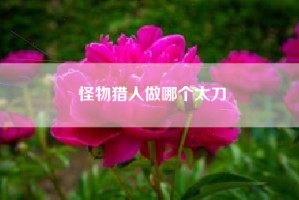 怪物猎人做哪个太刀