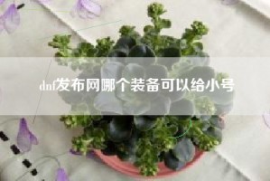 dnf发布网哪个装备可以给小号