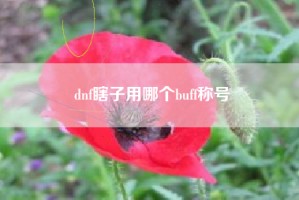 dnf瞎子用哪个buff称号