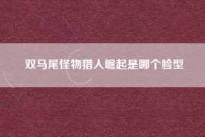 双马尾怪物猎人崛起是哪个脸型