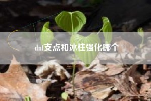 dnf支点和冰柱强化哪个