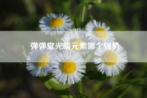 弹弹堂光暗元素哪个强势