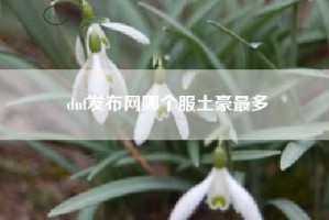 dnf发布网哪个服土豪最多