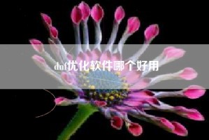 dnf优化软件哪个好用