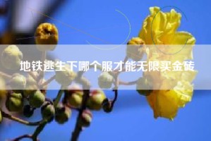 地铁逃生下哪个服才能无限买金砖