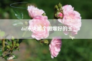 dnf未央哪个图爆好的玉