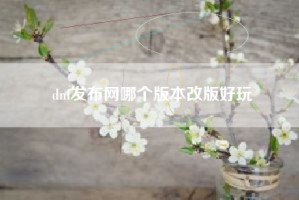 dnf发布网哪个版本改版好玩