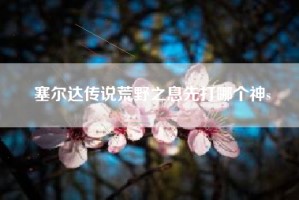 塞尔达传说荒野之息先打哪个神s