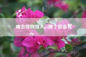痛击怪物猎人p3哪个装备有