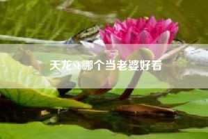 天龙SF哪个当老婆好看