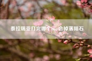 泰拉瑞亚打完哪个boss会掉落陨石