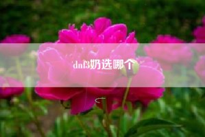 dnf3奶选哪个