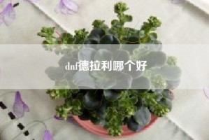 dnf德拉利哪个好