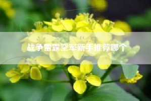 战争雷霆空军新手推荐哪个