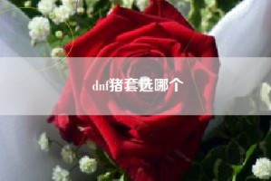 dnf猪套选哪个